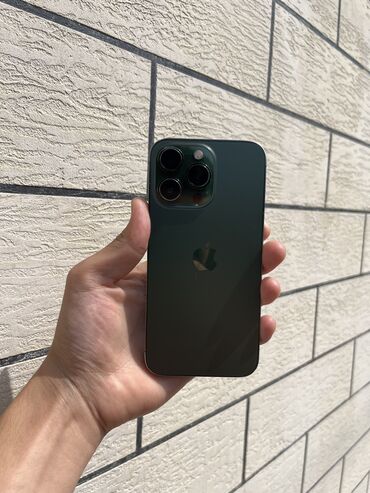 Apple iPhone: IPhone 13 Pro, Б/у, 256 ГБ, Alpine Green, Чехол, 80 %