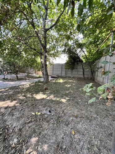 Продажа домов: Дом, 250 м², 6 комнат, Собственник, Евроремонт — 24