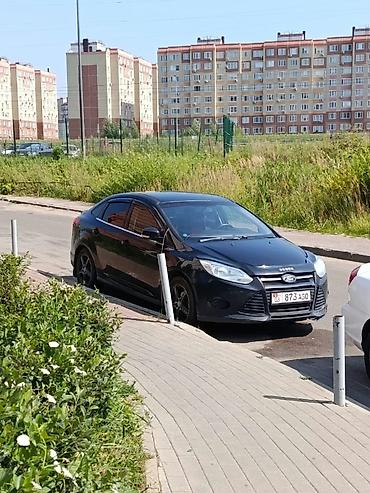 daf xf: Ford Focus: 2019 г., 1.6 л, Автомат, Бензин — 1