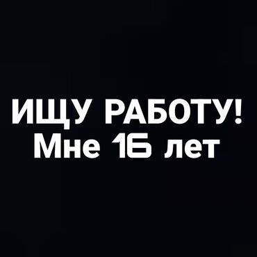 такси ыссык кол: Талап кылынат Официант Тажрыйбасыз