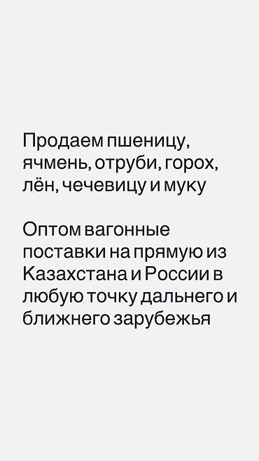 мука россия: Оптовая продажа сельскохозяйственной продукции: пшеница, ячмень — 1