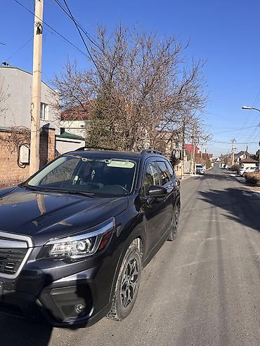 Subaru: Subaru Forester: 2019 г., 2.5 л, Механика, Бензин, Кроссовер — 2