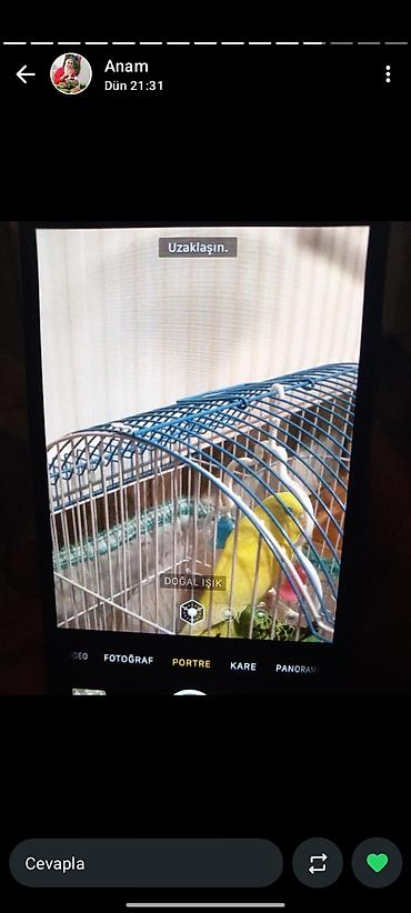 Apple iPhone: IPhone X -da lalafo.az — 6 Apple iPhone: IPhone X — 6