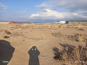 Продажа участков: 24 соток, Красная книга — 9