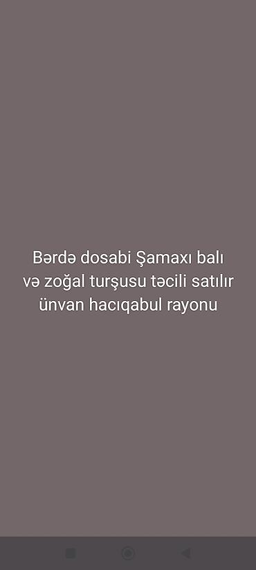 ofis masa aksesuarları: Məhsullar: - Bərdə doşabı – ənənəvi üsulla bişirilmiş, tünd rəngli — 1
