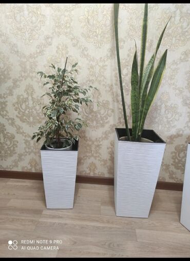 Горшки для растений: Кашпо — 6