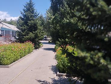 Иссык-Куль 2026: Номер, НЕПТУН Детская площадка, Парковка, стоянка, Охраняемая территория — 17