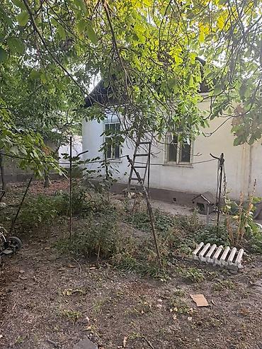 Продажа коттеджей и домов: Продается дом с участком 8,5 соток маевка Участок правильной формы — 6