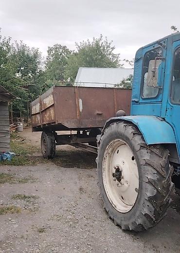 musiqili sükan: Traktor Belarus (MTZ) 28, 1998 il, 1200 at gücü, motor 4.3 l, Yeni — 9