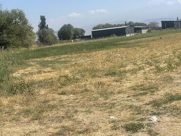 Продажа участков: 27000 соток, Для строительства, Договор купли-продажи — 11