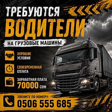 польский язык: Требуются водители на грузовые машины в крупную торговую сеть — 1