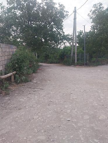 Torpaq sahələrinin satışı: 25 sot — 2