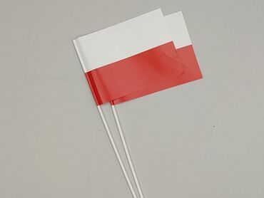 Dwie używane, ale w idealnym stanie małe flagi Polski na plastikowych