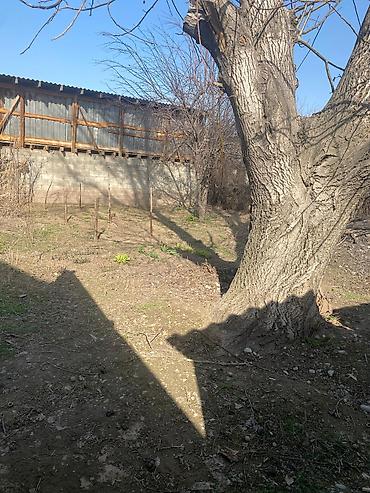 Продажа коттеджей и домов: Срочно Продаю дом с.Ново Покровка Участок -6 соток 4 ком -100 кв.м — 9