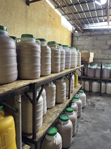 Мёд: Оптом горный мёд токтогульский токтогулдун тоо балы📍 Локация(сбора — 1