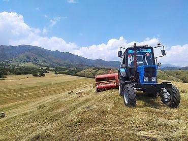 Тракторы МТЗ (Беларус): Трактор Беларус МТЗ с кабиной - Назначение: сельхозработы, заготовка — 14