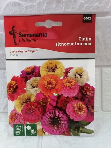 Semena i sadnice: Cena 500din/kesica — 13