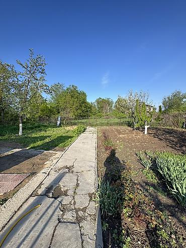 Продажа коттеджей и домов: ✨ Продаётся дом в с. Военно-Антоновка ✨ 🏡 Характеристики: • Участок - — 8