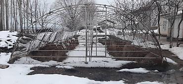 Теплицы: Теплица арочная промышленного типа - Каркас: металлический — 6