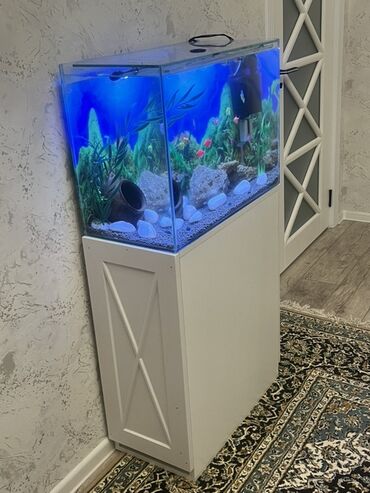 Akvariumlar: Akvarium-şkaf, Balıqlarla birlikdə, 90 l, Ödənişli çatdırılma — 1