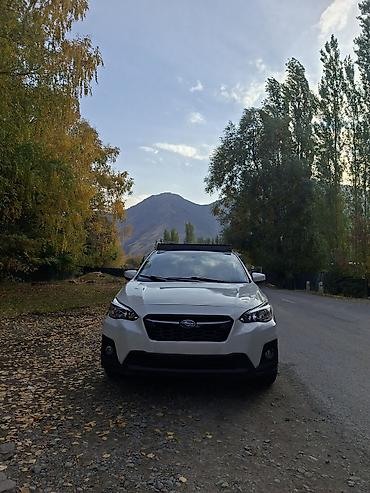 Subaru Crosstrek: 2019 г., 2 л, Вариатор, Бензин, Кроссовер