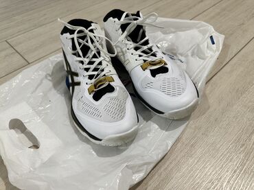 баскетбольные ботасы: Кроссовки Asics для зала/корта - Модель: Asics Sky Elite FF - Цвет