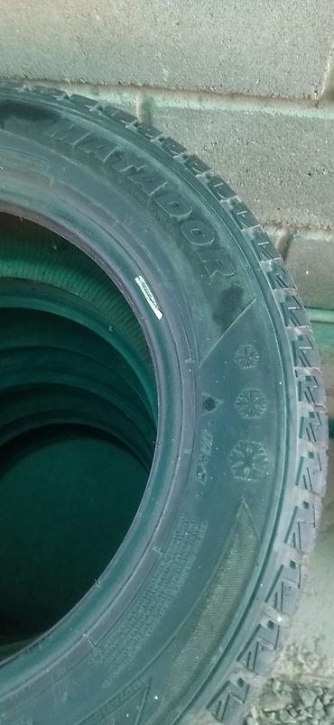 Шины: Шины 195 / 65 / R 15, Всесезонная, Б/у, Легковые, Германия — 16
