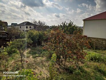 Bağ evlərinin satışı: Novxanıda Qurd dərəsi deyilən ərazidə, əsas yoldan təxminən 800 metr — 3