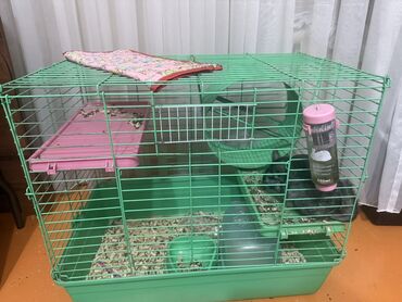 крыса домашняя: Клетка для грызунов с комплектом аксессуаров - Размер: просторная