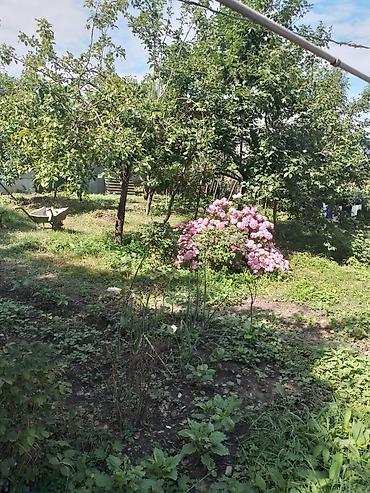 nesimi rayonunda satilan heyet evleri: Vəndam, 4 kv. m, 3 otaqlı, Hovuzsuz, İnternet, Telefon, İşıq — 2