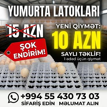 Çin, Fabrik istehsalı
