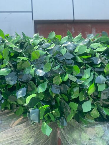 Digər ev dekoru: 🌿 Süni Çəpər – Təbii Gözəlliyin Süni Həlli! 🌿 📏 Eni 1.00 metr olur 📏 — 7