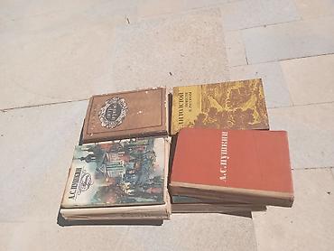 rus it adlari: Klassik ədəbiyyatdan ibarət qarışıq rusdilli kitab dəsti Tərkibdən — 2