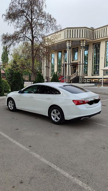 spark 2017: Chevrolet Malibu: 2019 г., 1.3 л, Автомат, Бензин, Седан — 3