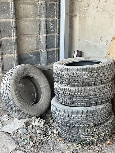 stud 100: Шины 215 / 60 / R 16, Зимняя шипованная, Б/у, Комплект, Легковые, Dunlop — 2