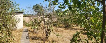 Torpaq sahələrinin satışı: 46 sot, Kənd təsərrüfatı, Mülkiyyətçi, Kupça (Çıxarış) -da lalafo.az — 7 Torpaq sahələrinin satışı: 46 sot, Kənd təsərrüfatı, Mülkiyyətçi, Kupça (Çıxarış) — 7