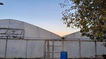 mucru azerbaycan dili: 12sot istixana satılır qiumət 8500 3 fermadır lalafo.az -da mucru azerbaycan dili: 12sot istixana satılır qiumət 8500 3 fermadır