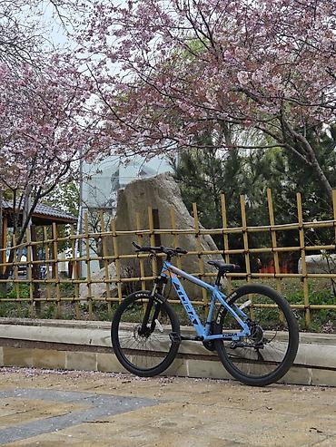 castra velosiped: Toba Xezri Velosiped yaxşı vəziyyətdədir, normal istifadə olunub — 10