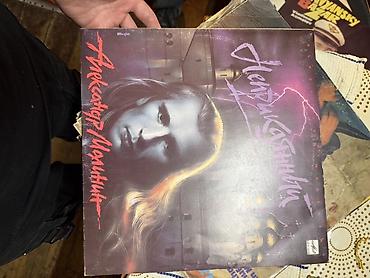 vinil: Vinil plastinkalar kolleksiyası təqdim olunur. Şəkillərdə müxtəlif — 5