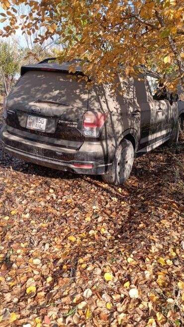 forester subaru: Subaru Forester: 2017 г., 2.5 л, Автомат, Бензин, Кроссовер