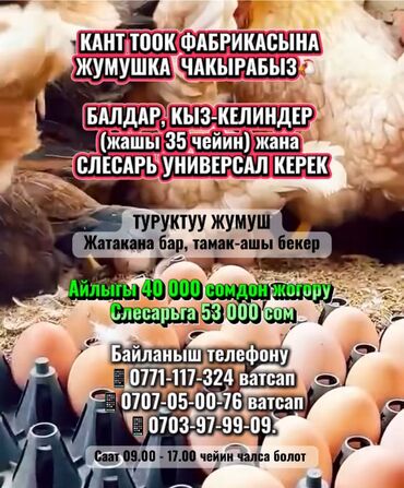 работа на дому вакансии: КАНТ ТООК ФАБРИКАСЫНА ЖУМУШКА ЧАКЫРАБЫЗ🐔 БАЛДАР, КЫЗ-КЕЛИНДЕР