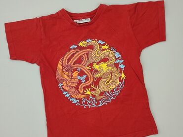 T-shirts: T-shirt, 4-5 years, 104-110 cm, condition - Good