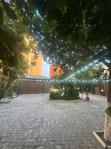 Bag ve redaran heyeti ucun işiqlar 100metir şlankdir 300eded lampasi lalafo.az -da Bag ve redaran heyeti ucun işiqlar 100metir şlankdir 300eded lampasi