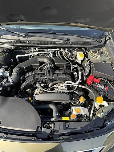 Subaru: Subaru Outback: 2020 г., 2.5 л, Вариатор, Бензин, Универсал — 3