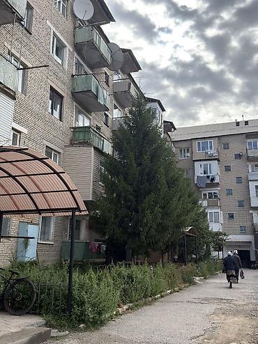 1ком квартира восток 5: 2 комнаты, 50 м², Индивидуалка, 3 этаж, Требуется ремонт — 1