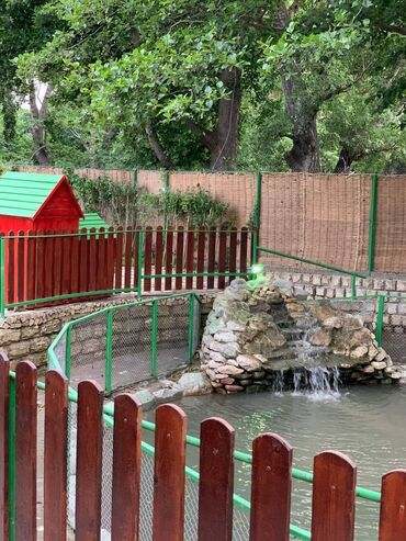 Bağ evlərinin kirayəsi: 80000 kv. m, 4 otaqlı, Hovuzlu, Qaz, İşıq, Artezian quyusu — 26