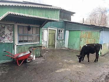 Продажа коттеджей и домов: ПРОДАЕТСЯ ДОМ В КАРА БАЛТЕ БЛИЖЕ К ЦЕНТРУ .РЯДОМ НУР МЕЧИТ ЛАГЕРЬ И СШ — 4
