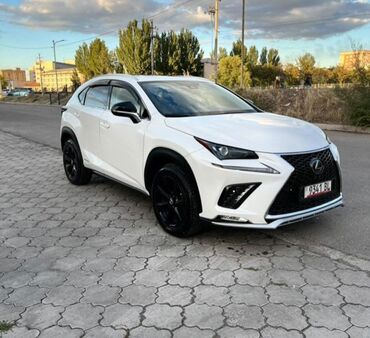 кыргыз унаа: Lexus NX: 2019 г., 2.5 л, Автомат, Гибрид, Жол тандабас