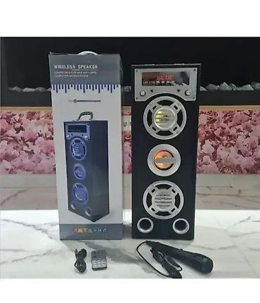 ipod mp3 player: 🔊 AKCIJA! Karaoke Bluetooth zvučnik LAV - 175B Dobro došli u Davidov — 1