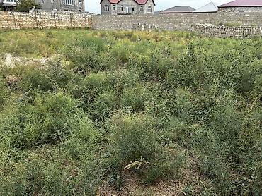 kiraye evlerin kreditle satisi: 6 sot, Tikinti, Mülkiyyətçi, Kupça (Çıxarış) — 5